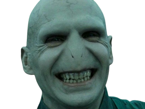 voldemort harry potter ouroboros