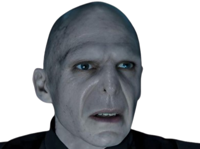 voldemort harry potter ouroboros