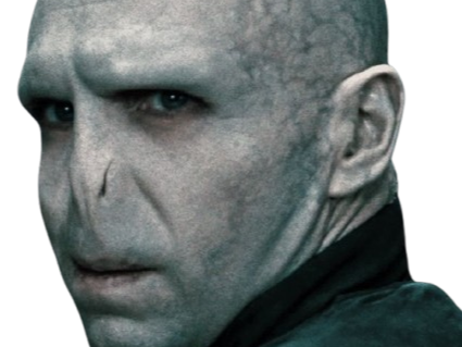 voldemort harry potter ouroboros