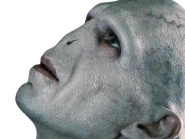 voldemort harry potter ouroboros