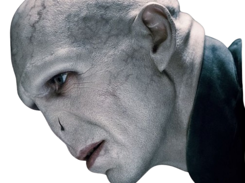 voldemort harry potter ouroboros