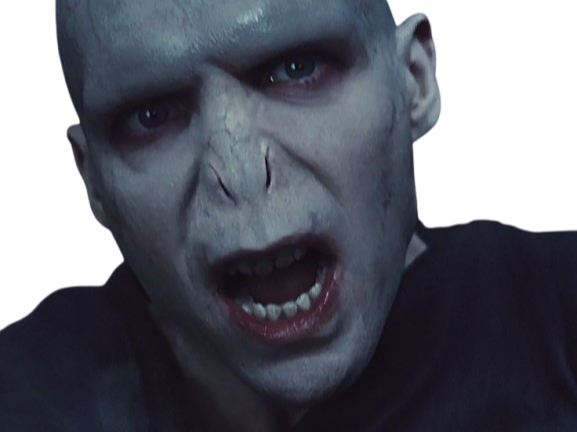 voldemort harry potter ouroboros