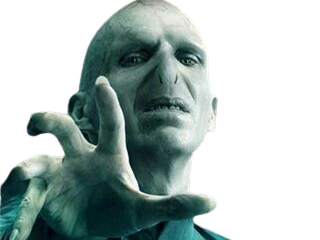 voldemort harry potter ouroboros