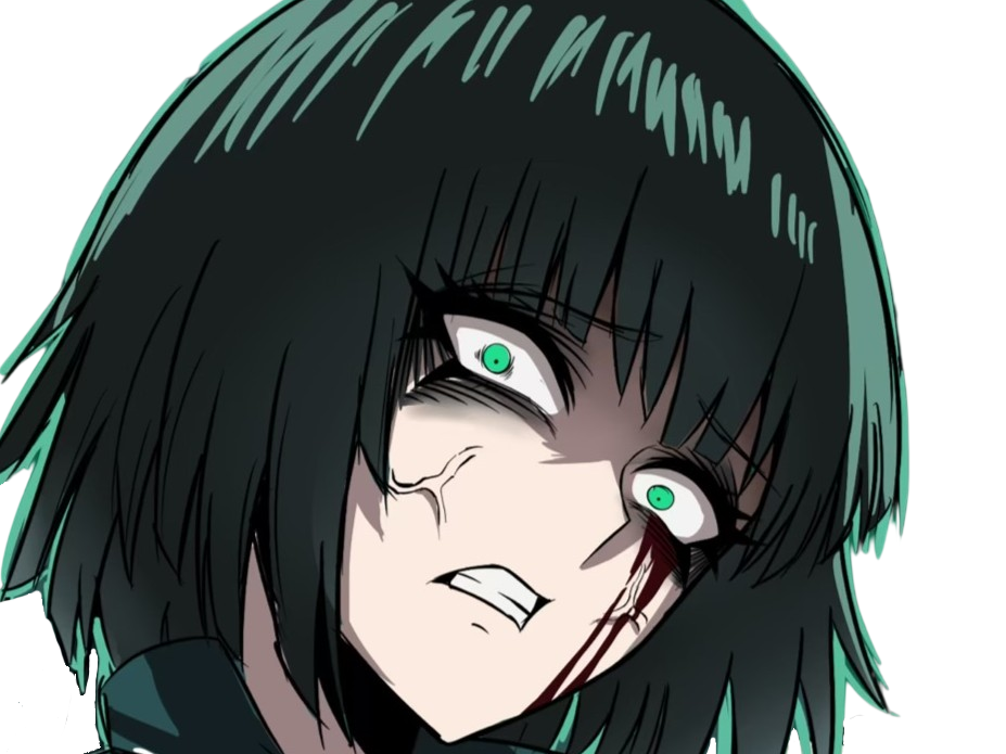 fubuki opm one punch man