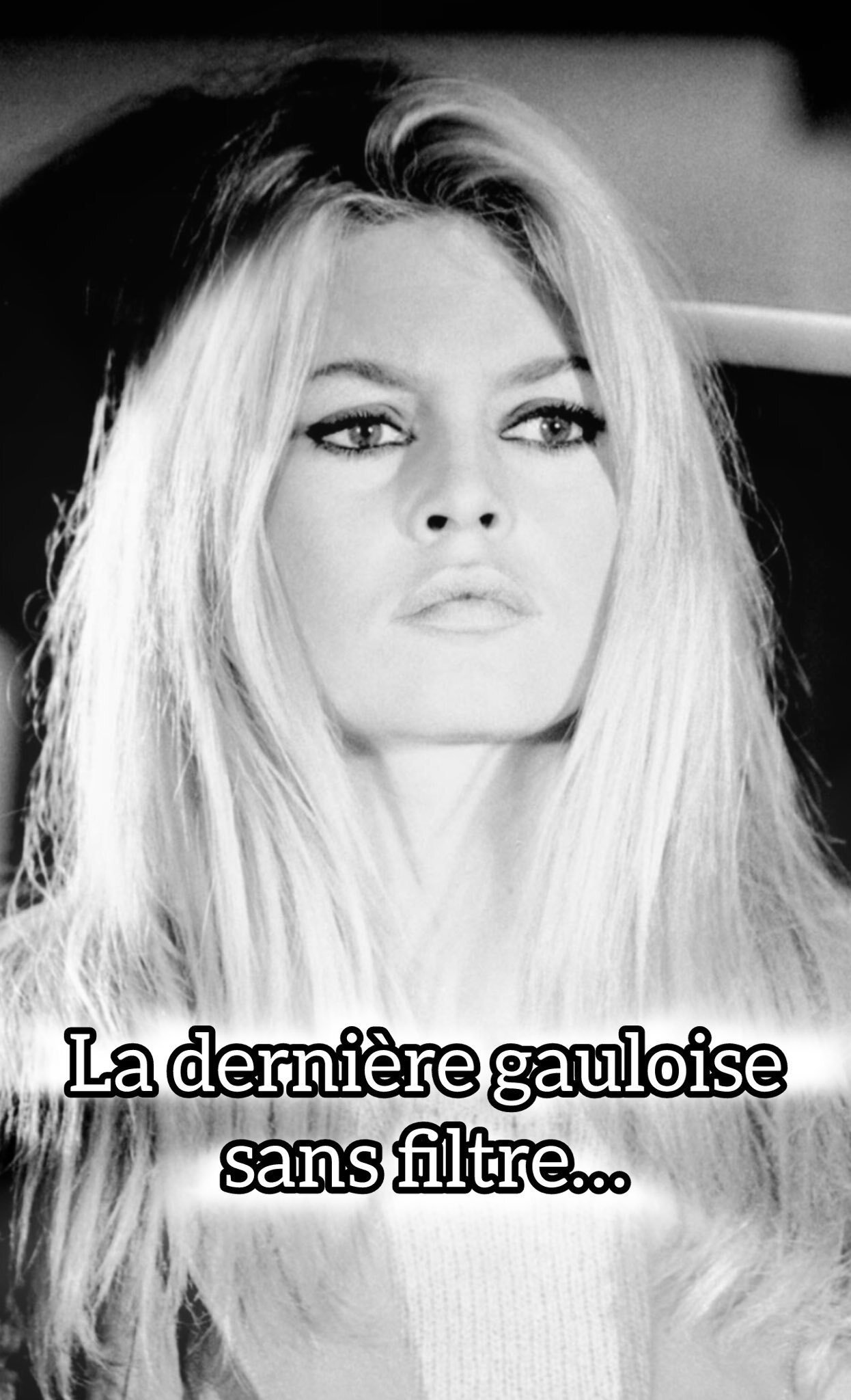 bardot bibi bb tribute funest fra catho natio rebel celeb fame actress cine musica sing