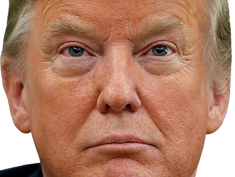 trump concentre regard yeux donald beau magnifique bleus concentration se fixe contemplation adoration regarde knifos