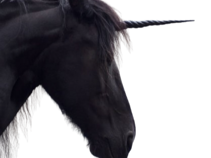 licorne noire esprit lame bloop