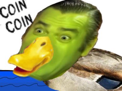 canard duck coin oiseau volaille volatile etang lac marais europe vert caneton maladroit nage palme