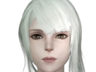 kaine-nier-replicant-ver122474487139-replicants-jeu-video-japonais-femme-cheveux-blancs-yeux-jaunes-epeiste