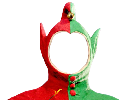 costume bouffon kcd jester clown ridicule paz rire risitas lunettes cagoule capuche vetements mentaux tison