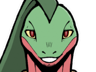 massko pokemon grovyle juptile