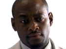omar-epps-acteur-americain-homme-noir-trentaine-trentenaire-dr-house-foreman