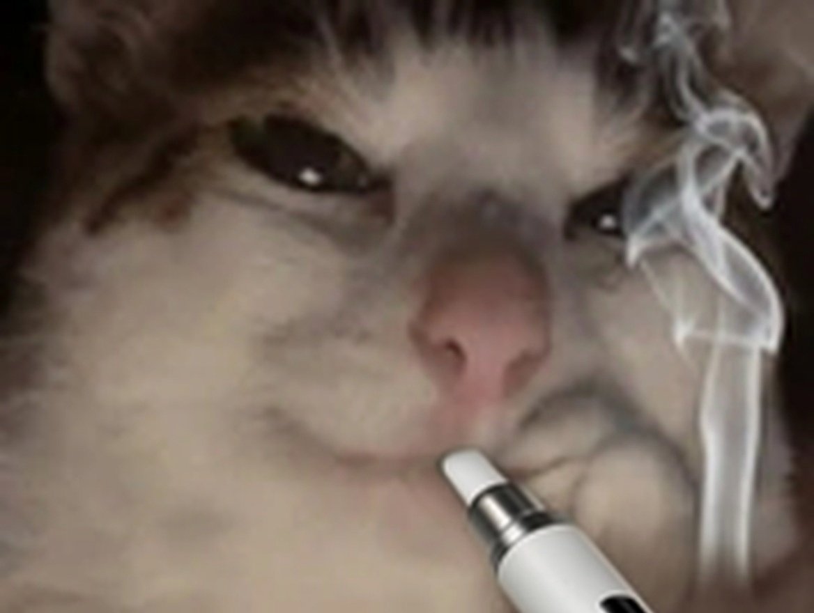chat puff cigarette clope join bedo defonce gooner