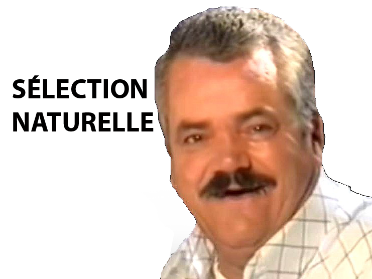selection naturelle golem