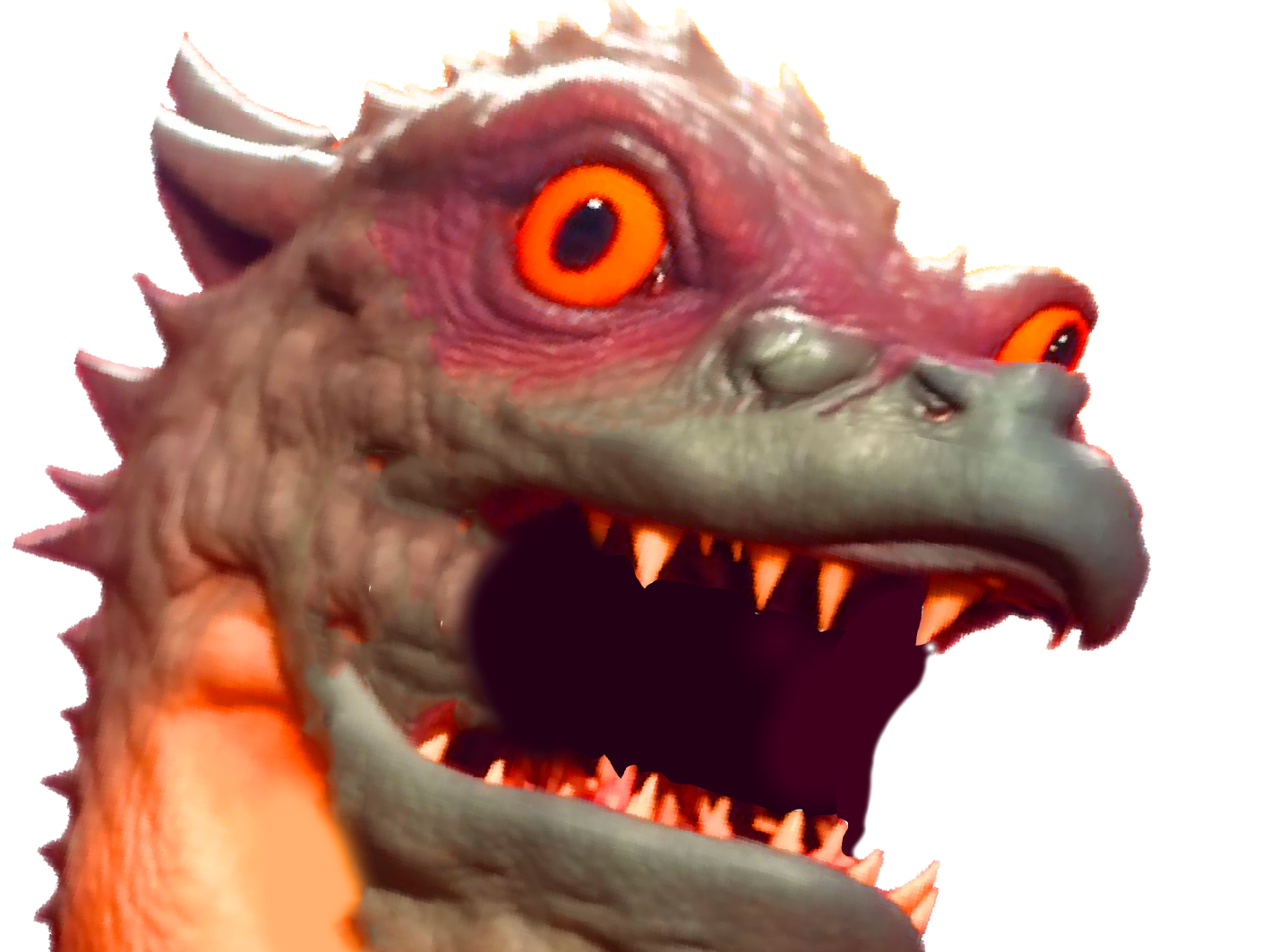 chocorat rongeurcacaote sourischocolatee