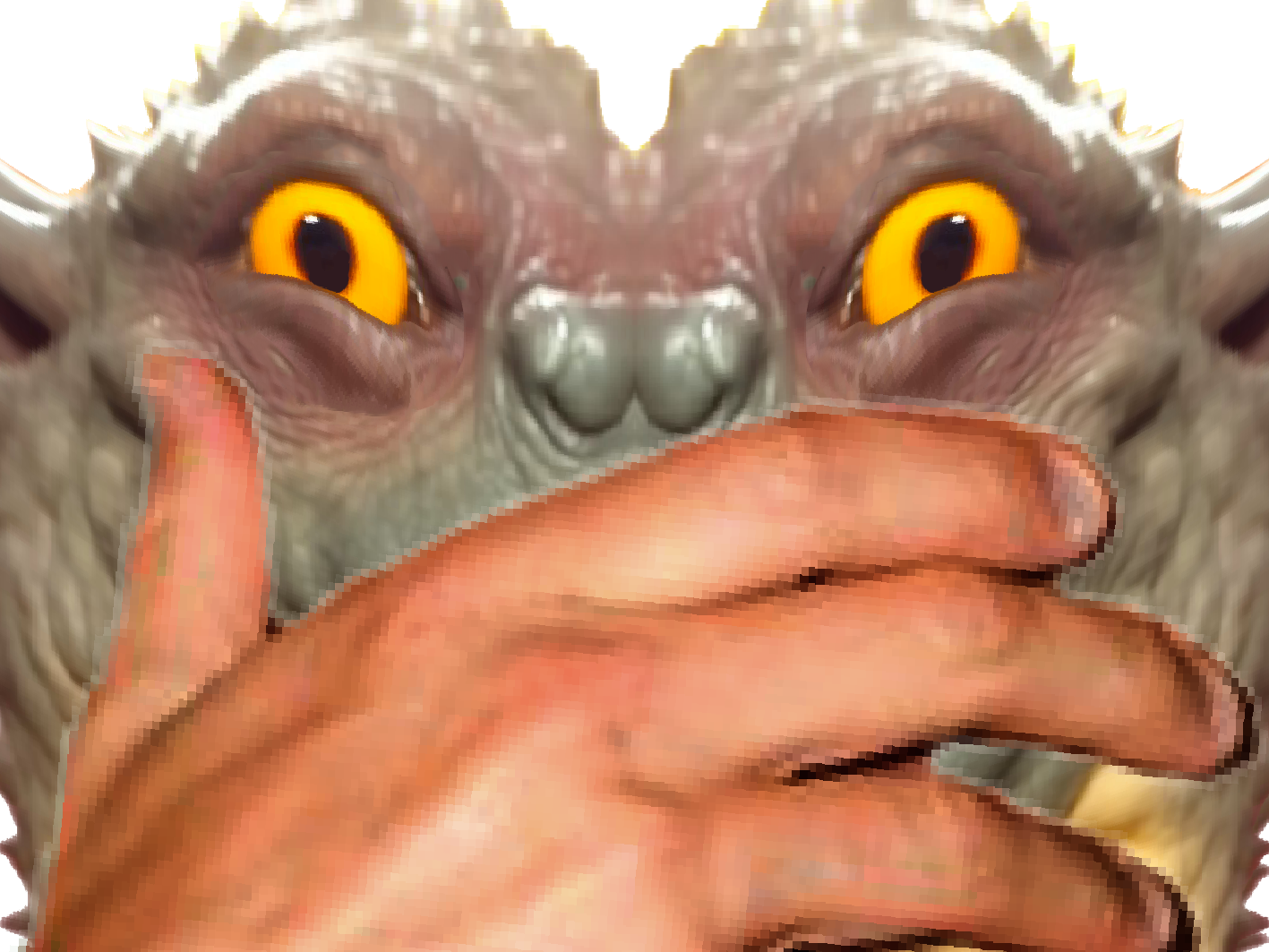 chocorat rongeurcacaote sourischocolatee