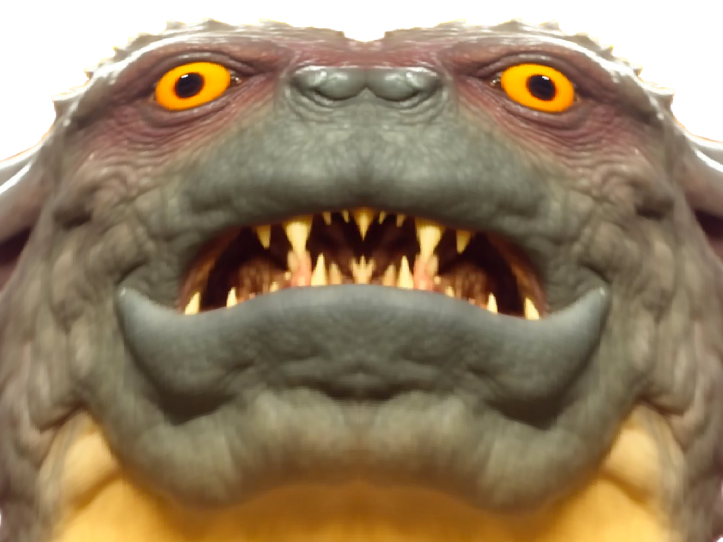 chocorat rongeurcacaote sourischocolatee