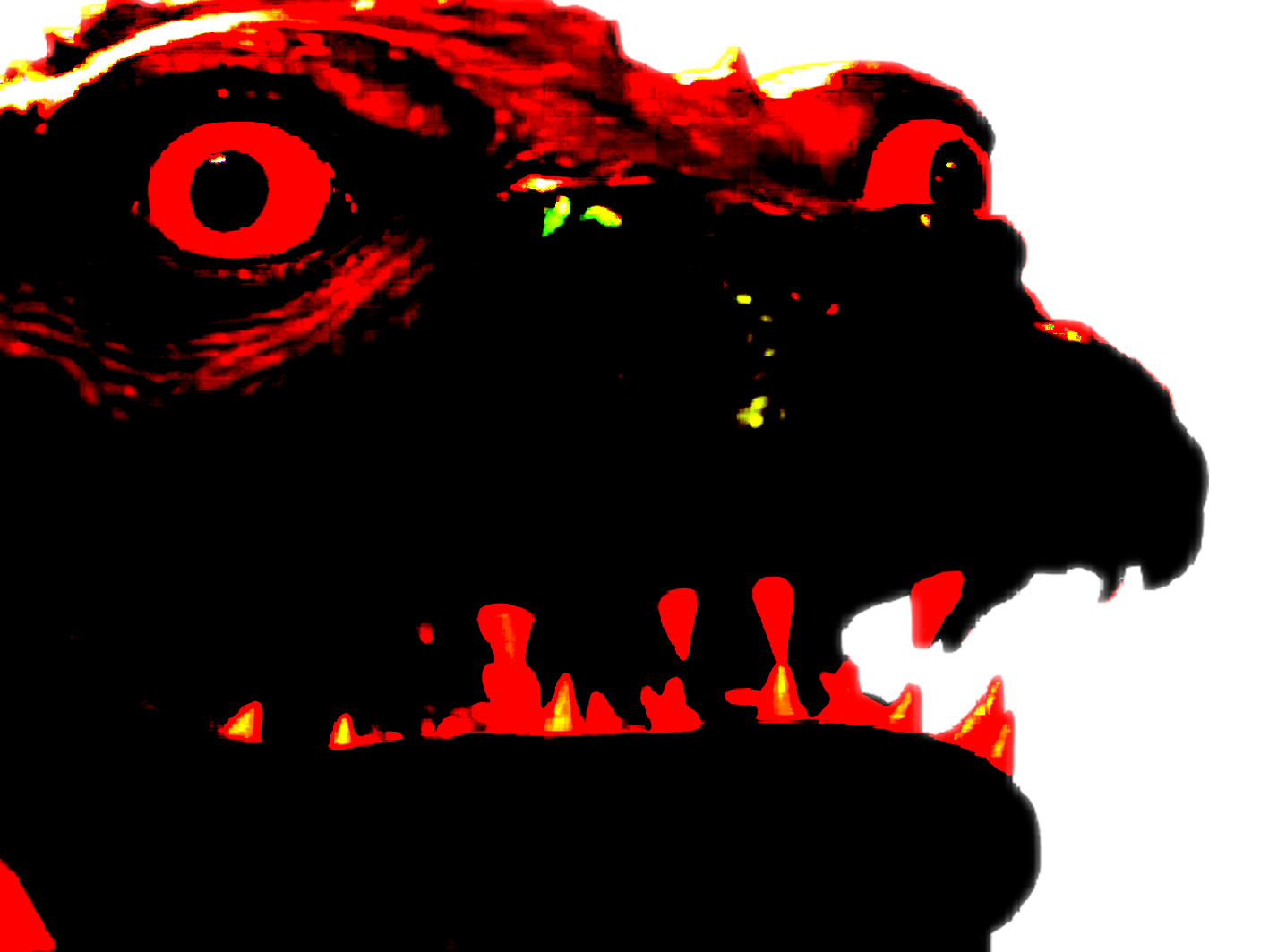 chocorat rongeurcacaote sourischocolatee