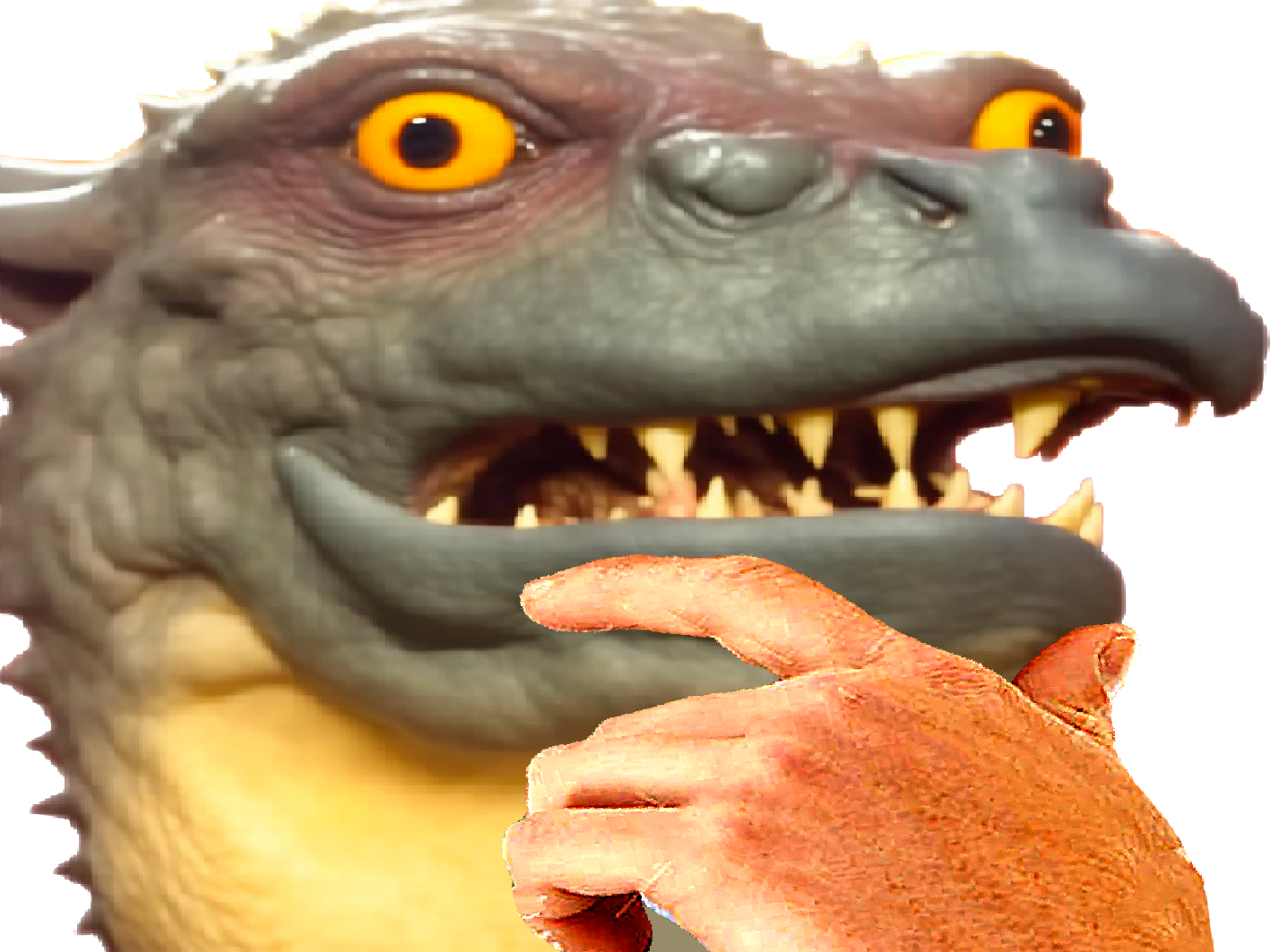 chocorat rongeurcacaote sourischocolatee