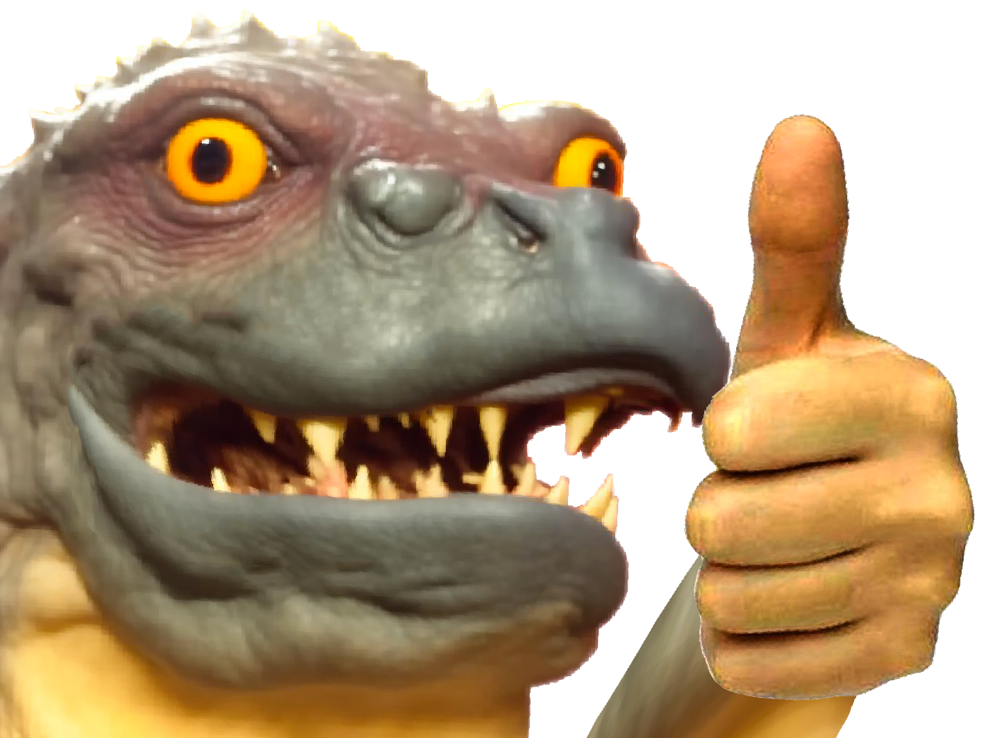 chocorat rongeurcacaote sourischocolatee