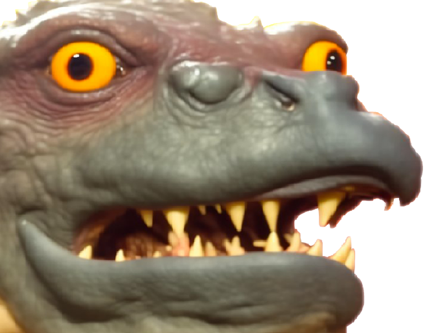 chocorat rongeurcacaote sourischocolatee