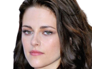 kristen-stewart-actrice-americaine-brune-jeune-twilight-yeux-verts-femme-annees-2010-2010s
