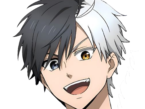 haruka sakura othello wind breaker anime manga protagoniste delinquant combattant lyceen homme cheveux-noirs-blancs yeux-gris-jaunes bicolor