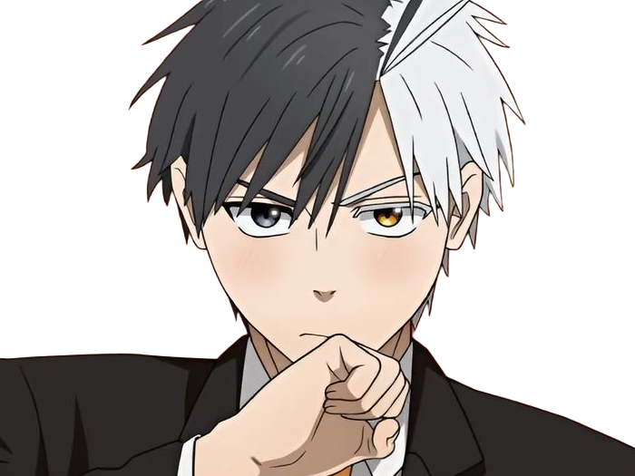 haruka sakura othello wind breaker anime manga protagoniste delinquant combattant lyceen homme cheveux-noirs-blancs yeux-gris-jaunes bicolor