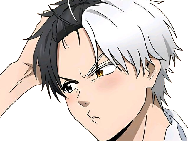 haruka sakura othello wind breaker anime manga protagoniste delinquant combattant lyceen homme cheveux-noirs-blancs yeux-gris-jaunes bicolor