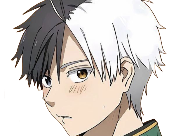 haruka sakura othello wind breaker anime manga protagoniste delinquant combattant lyceen homme cheveux-noirs-blancs yeux-gris-jaunes bicolor