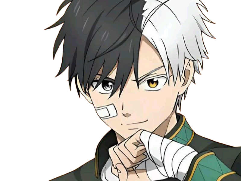 haruka sakura othello wind breaker anime manga protagoniste delinquant combattant lyceen homme cheveux-noirs-blancs yeux-gris-jaunes bicolor