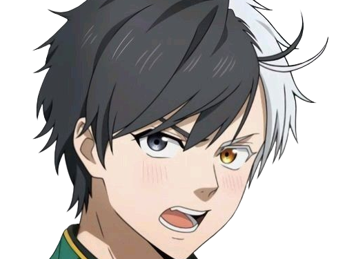 haruka sakura othello wind breaker anime manga protagoniste delinquant combattant lyceen homme cheveux-noirs-blancs yeux-gris-jaunes bicolor