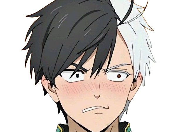 haruka sakura othello wind breaker anime manga protagoniste delinquant combattant lyceen homme cheveux-noirs-blancs yeux-gris-jaunes bicolor