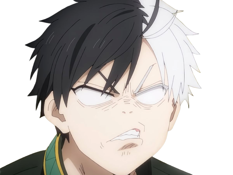 haruka sakura othello wind breaker anime manga protagoniste delinquant combattant lyceen homme cheveux-noirs-blancs yeux-gris-jaunes bicolor