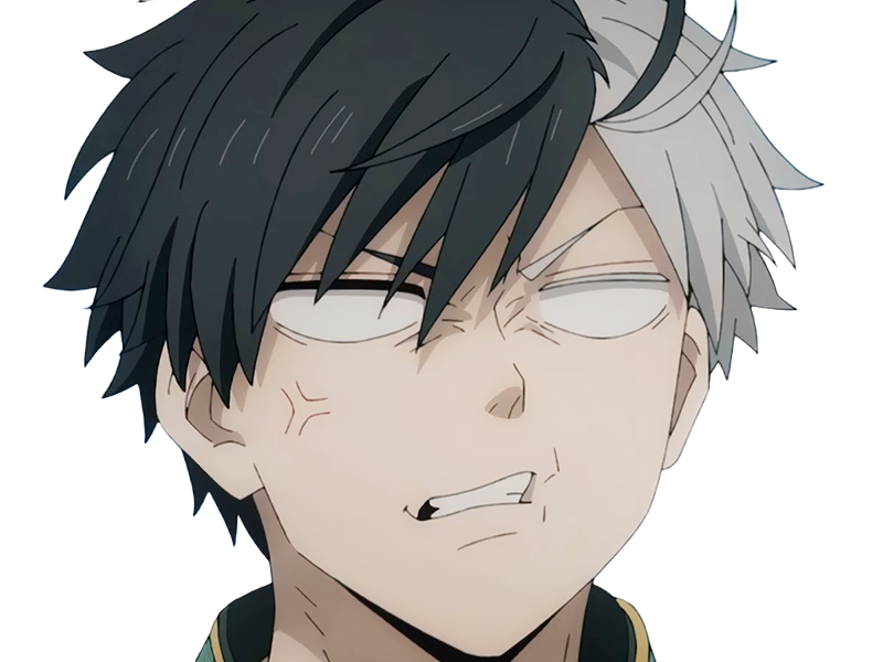 haruka sakura othello wind breaker anime manga protagoniste delinquant combattant lyceen homme cheveux-noirs-blancs yeux-gris-jaunes bicolor