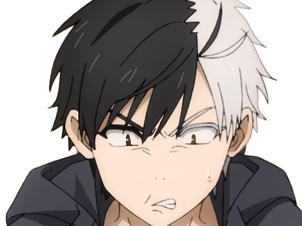 haruka sakura othello wind breaker anime manga protagoniste delinquant combattant lyceen homme cheveux-noirs-blancs yeux-gris-jaunes bicolor