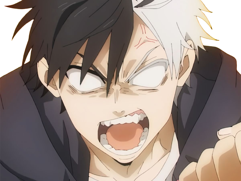 haruka sakura othello wind breaker anime manga protagoniste delinquant combattant lyceen homme cheveux-noirs-blancs yeux-gris-jaunes bicolor