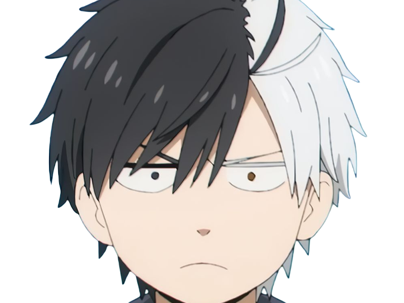 haruka sakura othello wind breaker anime manga protagoniste delinquant combattant lyceen homme cheveux-noirs-blancs yeux-gris-jaunes bicolor