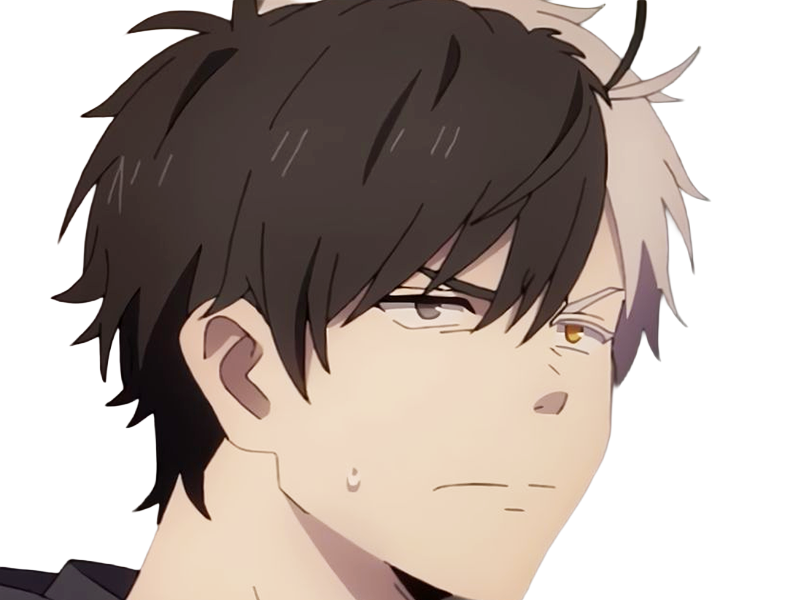 haruka sakura othello wind breaker anime manga protagoniste delinquant combattant lyceen homme cheveux-noirs-blancs yeux-gris-jaunes bicolor