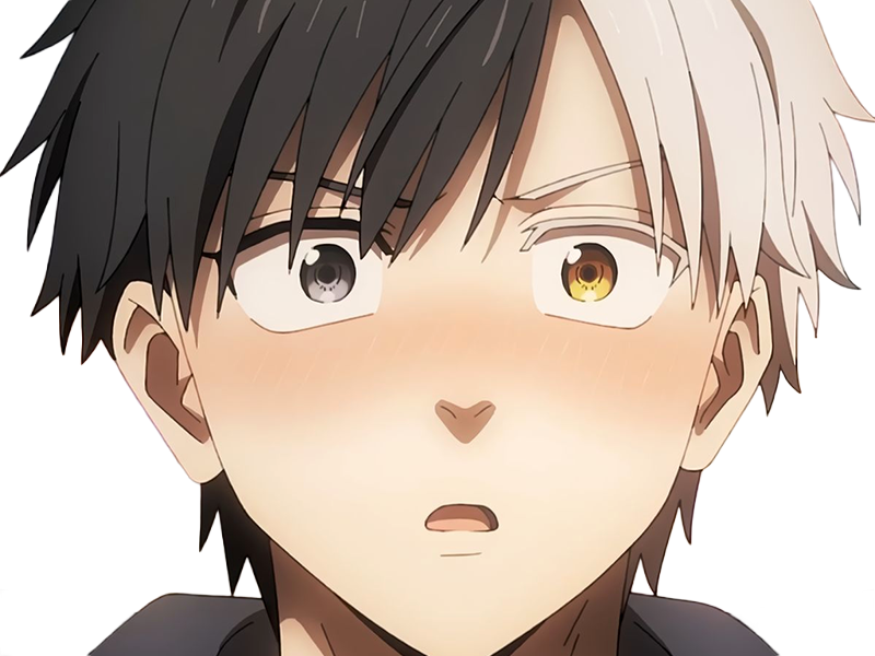 haruka sakura othello wind breaker anime manga protagoniste delinquant combattant lyceen homme cheveux-noirs-blancs yeux-gris-jaunes bicolor