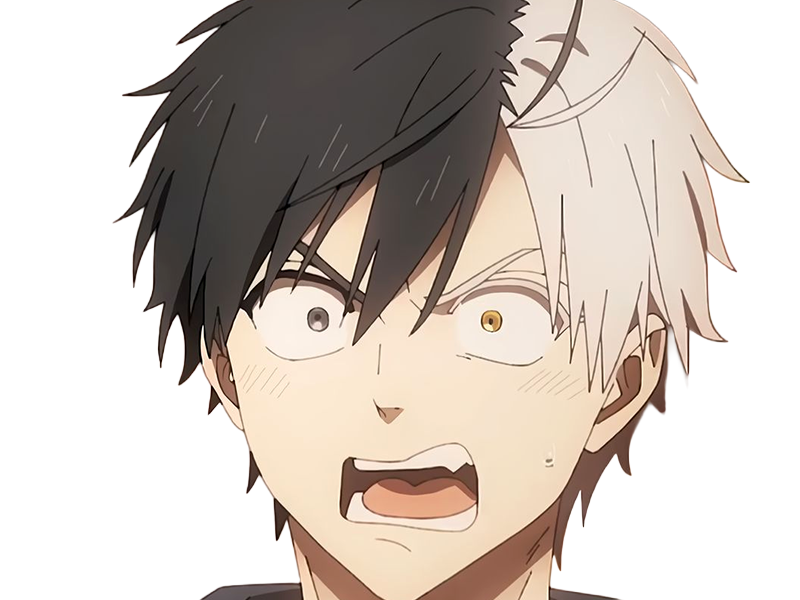 haruka sakura othello wind breaker anime manga protagoniste delinquant combattant lyceen homme cheveux-noirs-blancs yeux-gris-jaunes bicolor