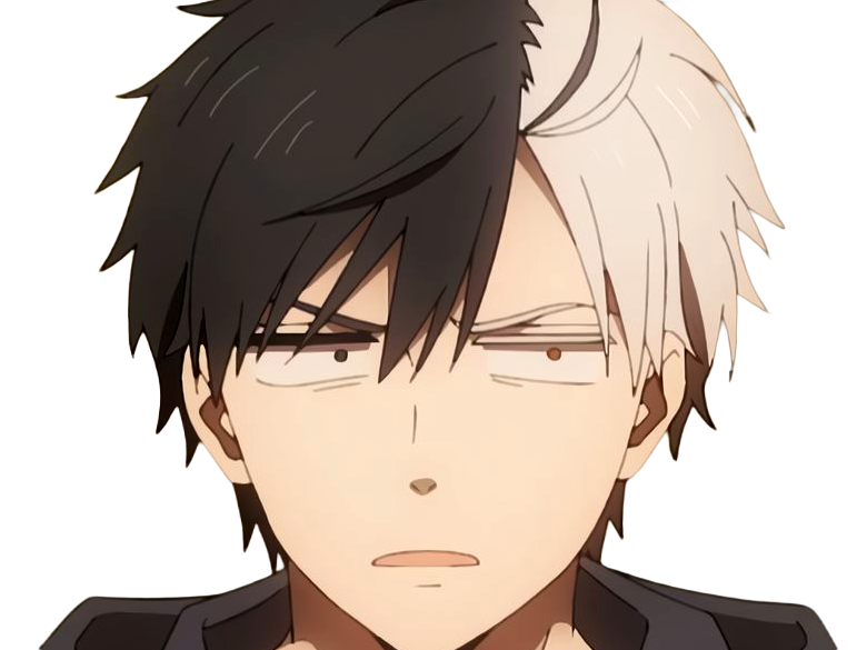 haruka sakura othello wind breaker anime manga protagoniste delinquant combattant lyceen homme cheveux-noirs-blancs yeux-gris-jaunes bicolor