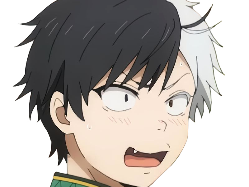 haruka sakura othello wind breaker anime manga protagoniste delinquant combattant lyceen homme cheveux-noirs-blancs yeux-gris-jaunes bicolor