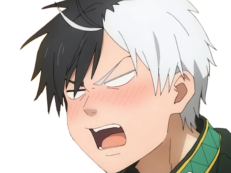 haruka sakura othello wind breaker anime manga protagoniste delinquant combattant lyceen homme cheveux-noirs-blancs yeux-gris-jaunes bicolor