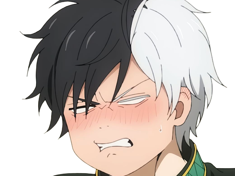 haruka sakura othello wind breaker anime manga protagoniste delinquant combattant lyceen homme cheveux-noirs-blancs yeux-gris-jaunes bicolor