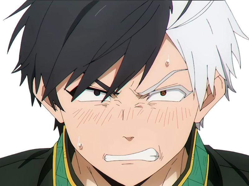 haruka sakura othello wind breaker anime manga protagoniste delinquant combattant lyceen homme cheveux-noirs-blancs yeux-gris-jaunes bicolor