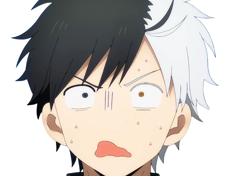 haruka sakura othello wind breaker anime manga protagoniste delinquant combattant lyceen homme cheveux-noirs-blancs yeux-gris-jaunes bicolor