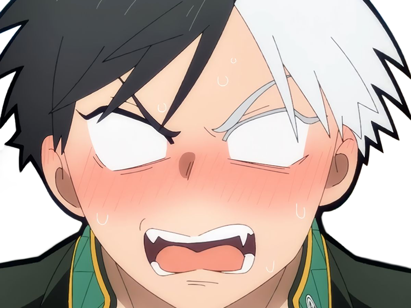 haruka sakura othello wind breaker anime manga protagoniste delinquant combattant lyceen homme cheveux-noirs-blancs yeux-gris-jaunes bicolor