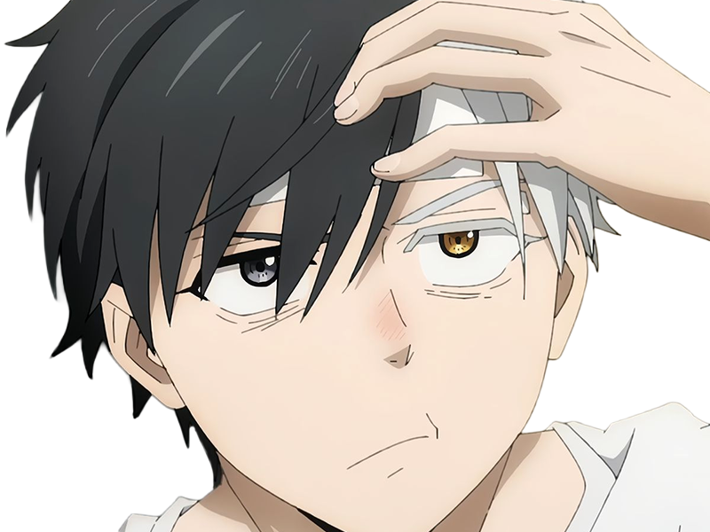 haruka sakura othello wind breaker anime manga protagoniste delinquant combattant lyceen homme cheveux-noirs-blancs yeux-gris-jaunes bicolor