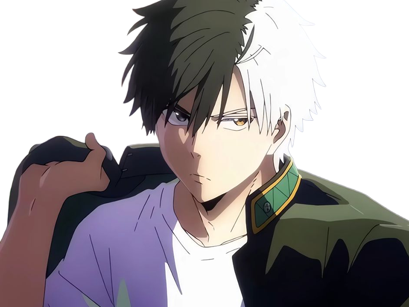 haruka sakura othello wind breaker anime manga protagoniste delinquant combattant lyceen homme cheveux-noirs-blancs yeux-gris-jaunes bicolor